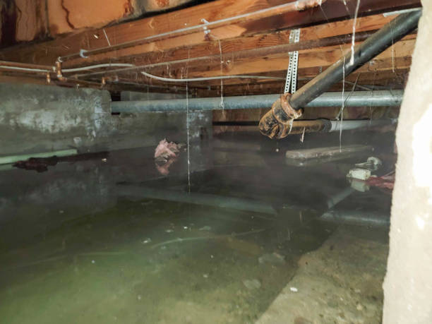 Best 24-hour water damage restoration  in Bridgeport, CT