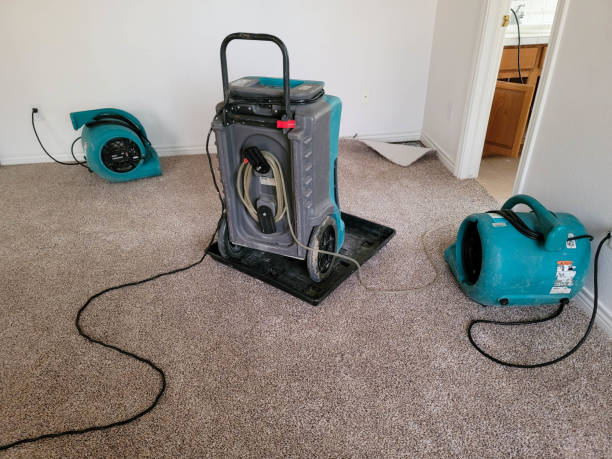 Best Water damage cleanup near me  in Bridgeport, CT