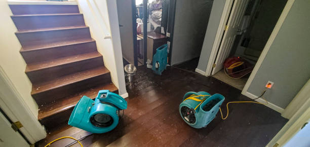 Best Water damage contractors near me  in Bridgeport, CT