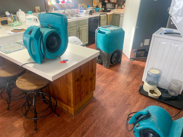 Best Water damage cleanup near me  in Bridgeport, CT