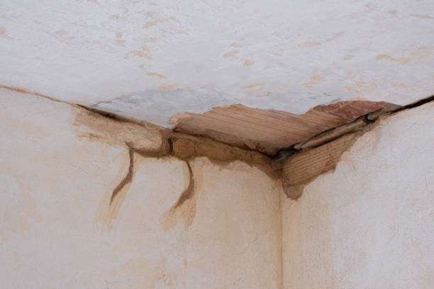 Best Flooded house restoration  in Bridgeport, CT
